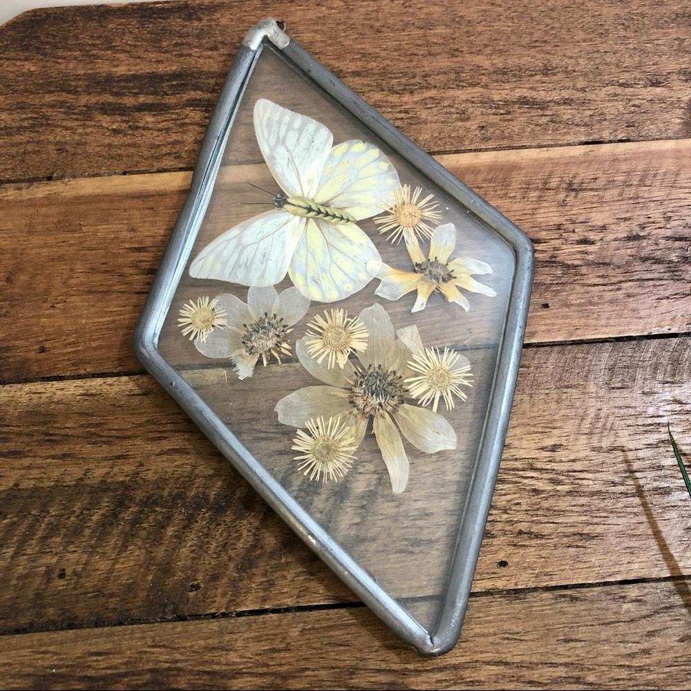 Vintage Framed Pressed Dried Flower & Butterfly, Diamond Shaped, Wall Hanging
